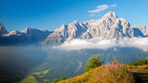 Girlt果团网合集打包下载永久更新