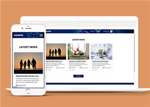 简洁保险公司销售模板下载
