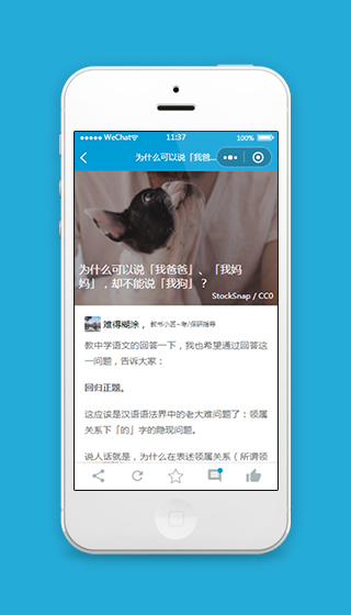 蓝色知乎日报小程序文章详情页模板下载