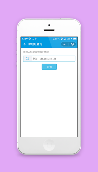 蓝色简约IP地址快速查询功能程序源码下载
