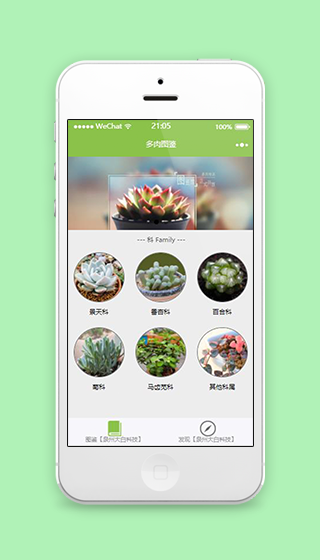 图片排版植物图鉴展示小程序源码