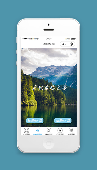 动植物识别微信小程序模板源码